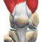 osteoarthritis of knee